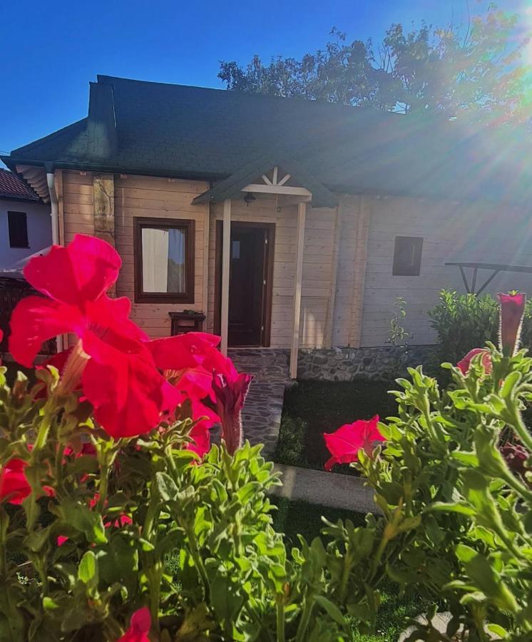 Rooms And Apartmants Mirovic Kolašin Exterior foto